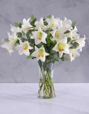 Elegant white lilies arranged in a clear vase
